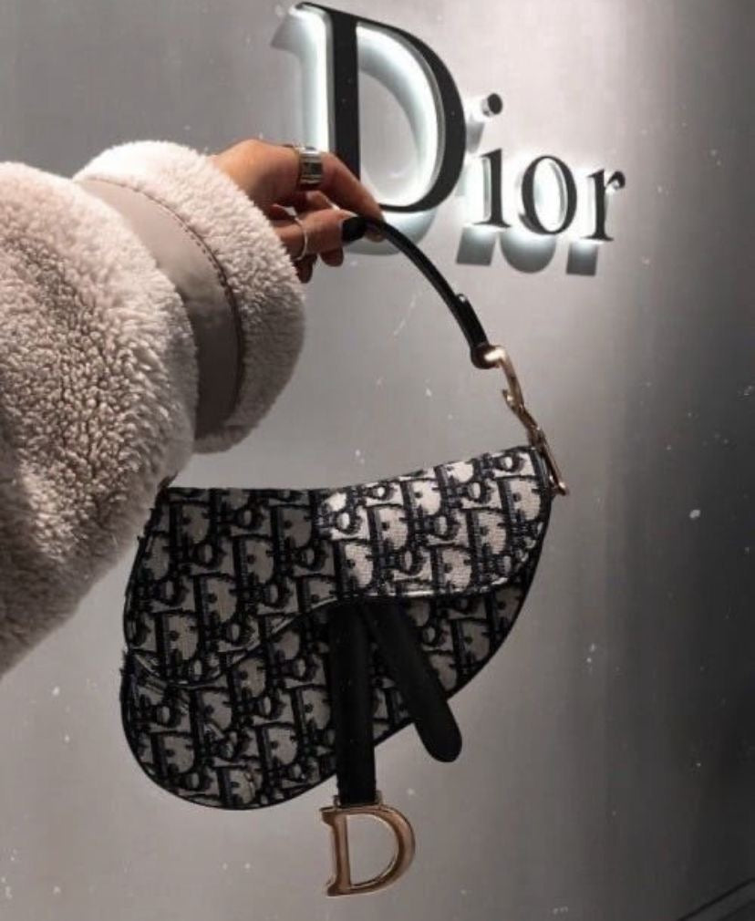 Dior شنطة نسائيه ماركه